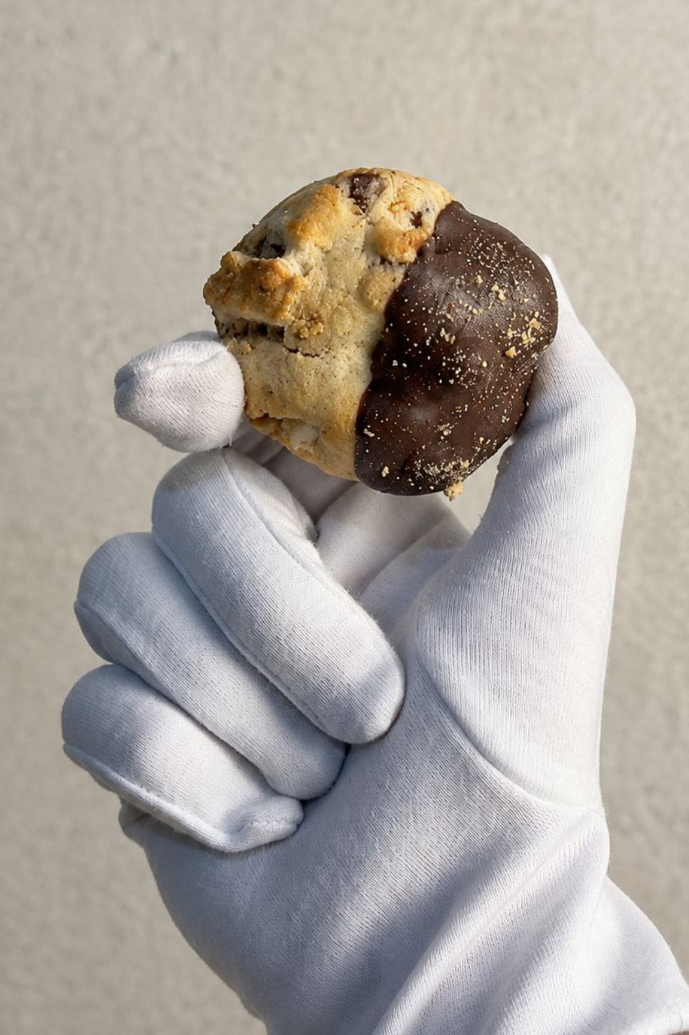 S'MORES BITES
