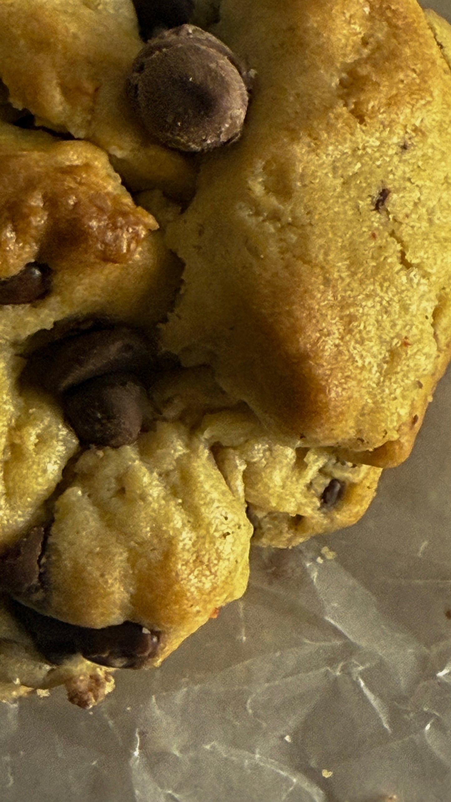 CHOCOLATE CHIP COOKIE