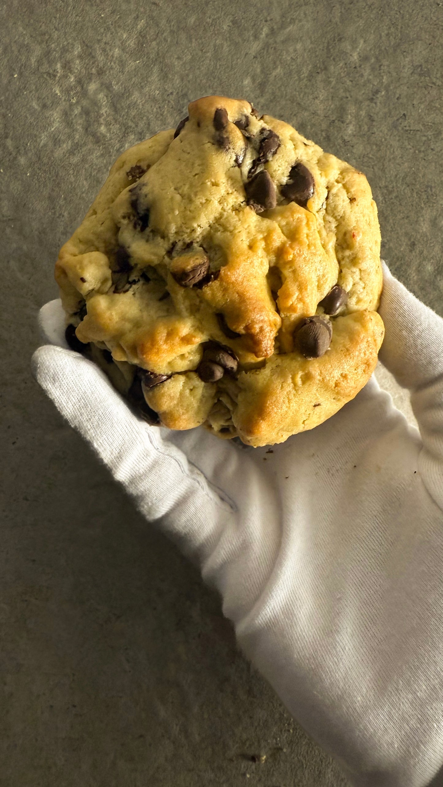 CHOCOLATE CHIP COOKIE