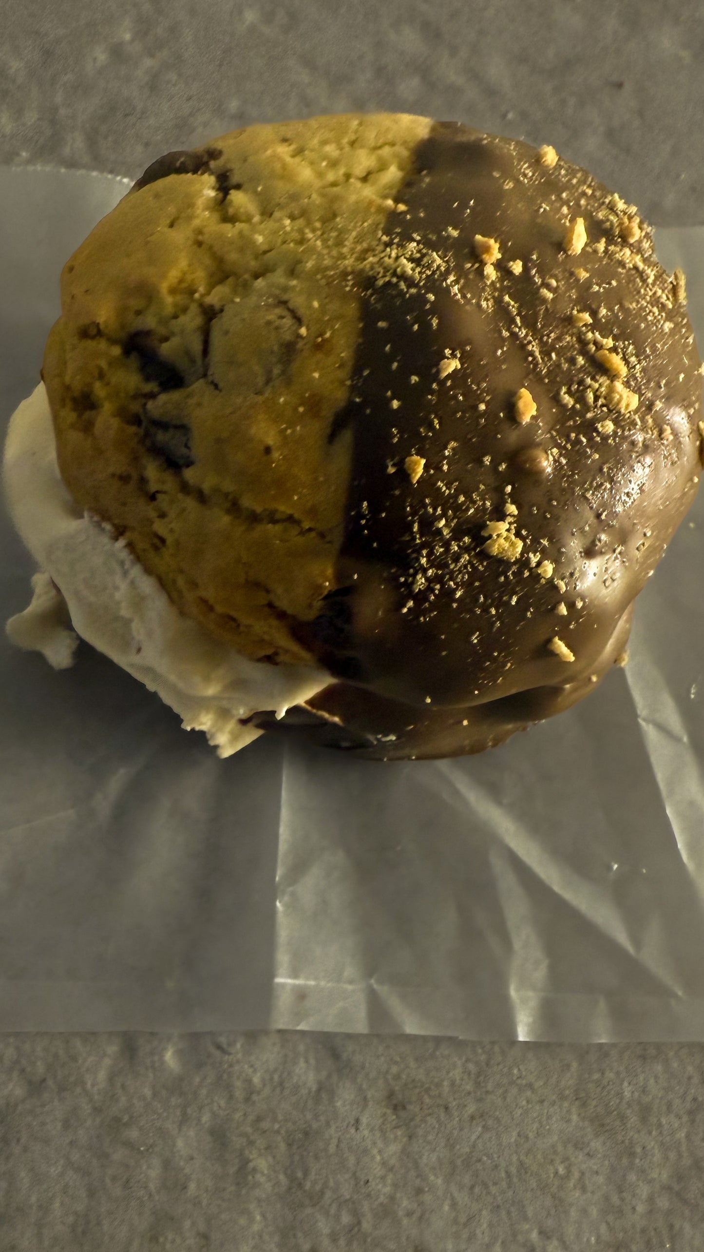 S'MORES SANDWICH