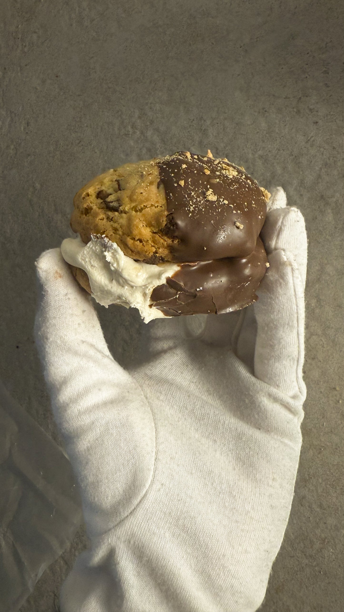 S'MORES SANDWICH
