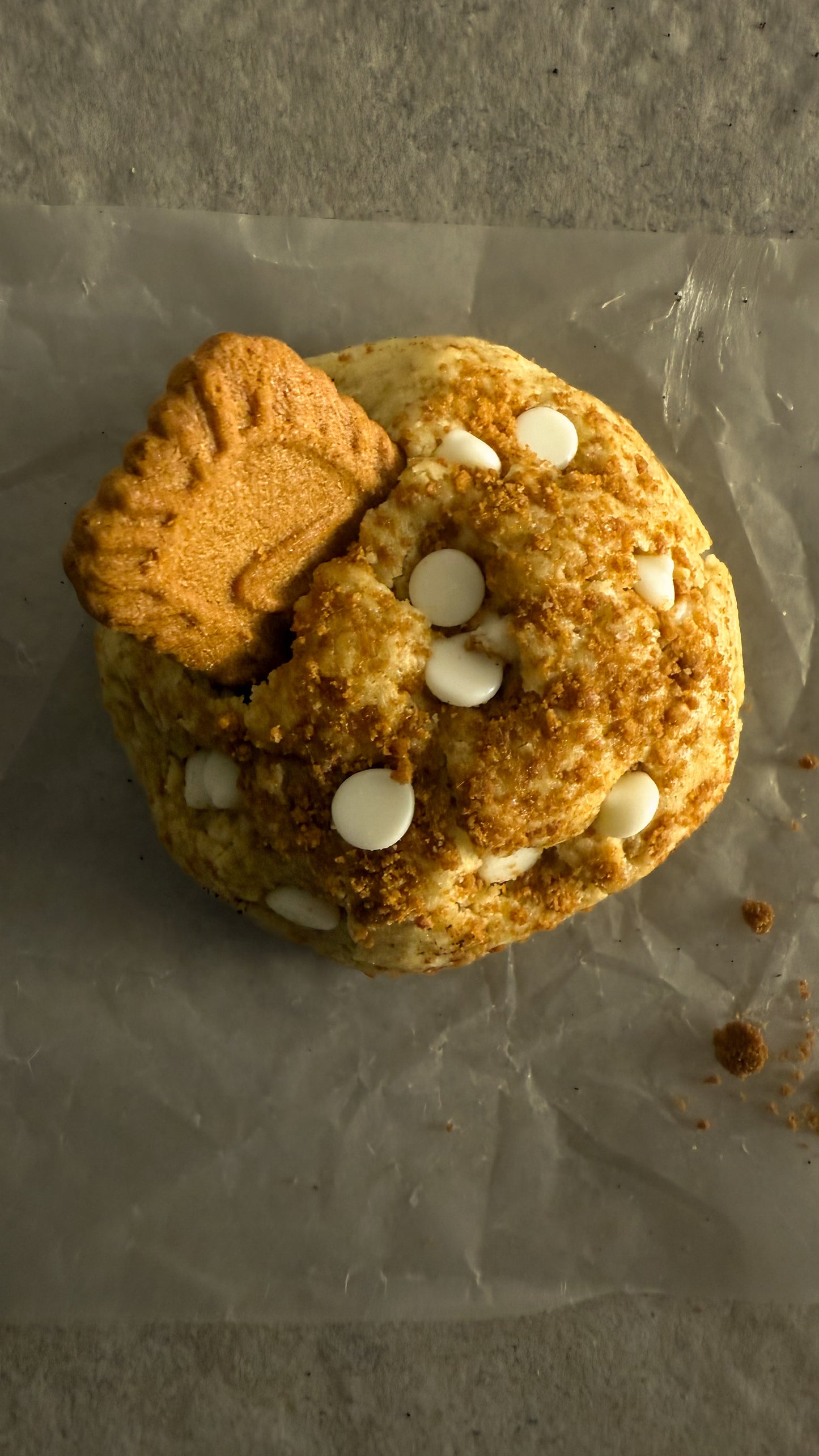 LOTUS BISCOFF