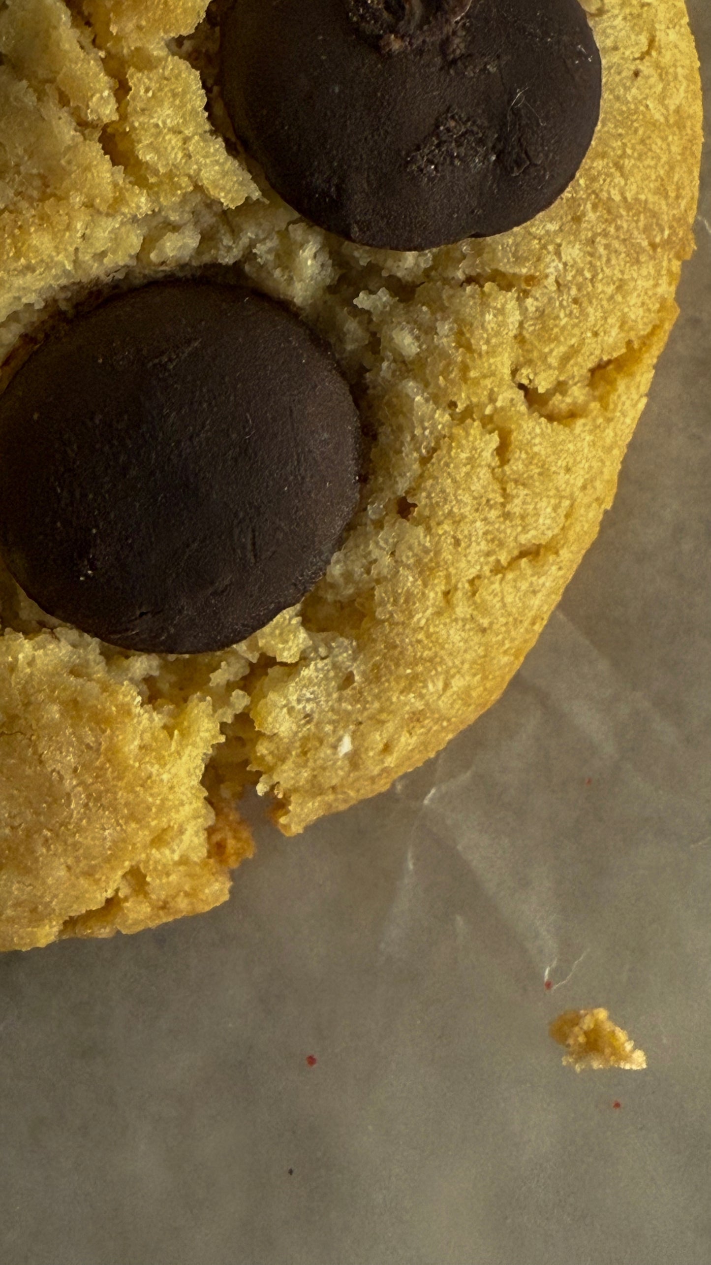 CHOCOLATE CHIP BALANCE